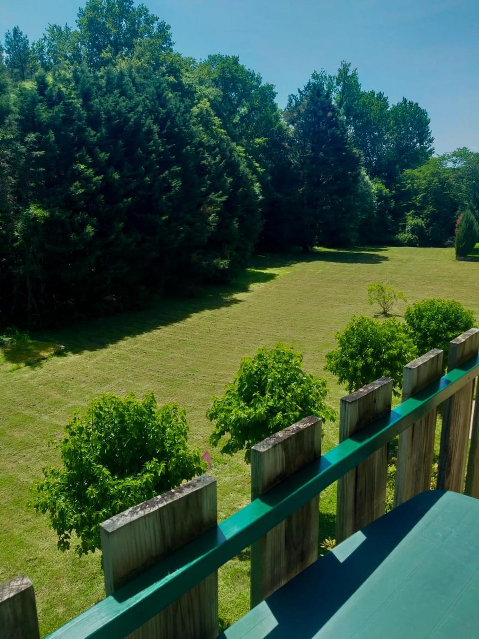 Garden view