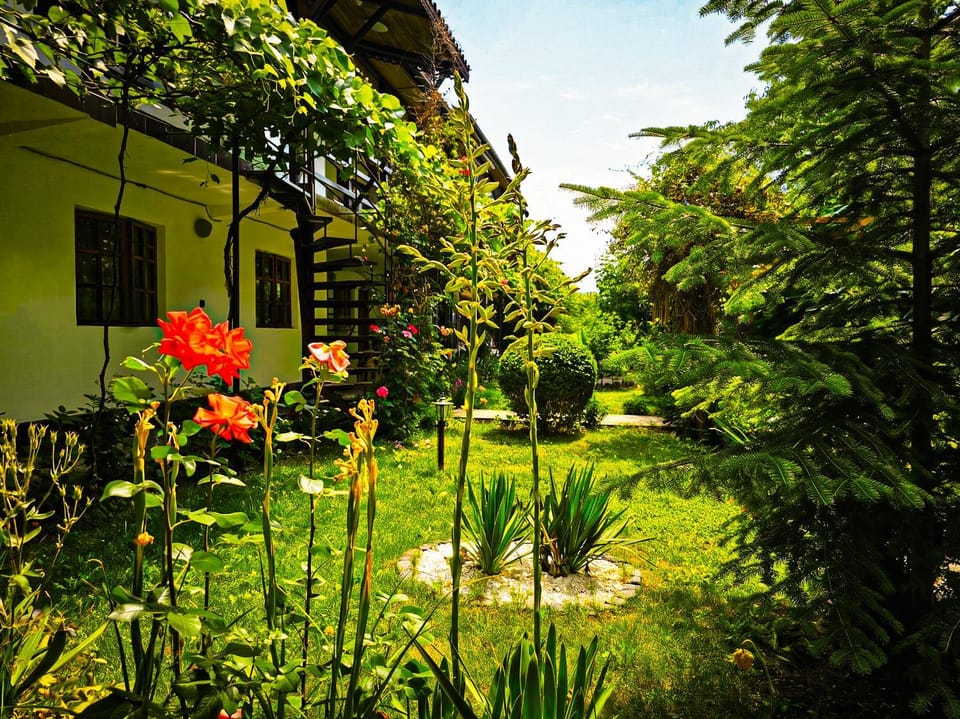 Property building, Garden, Garden view, Inner courtyard view