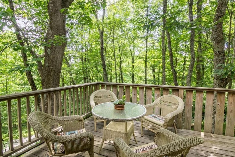 A Treetop Escape House in Watauga