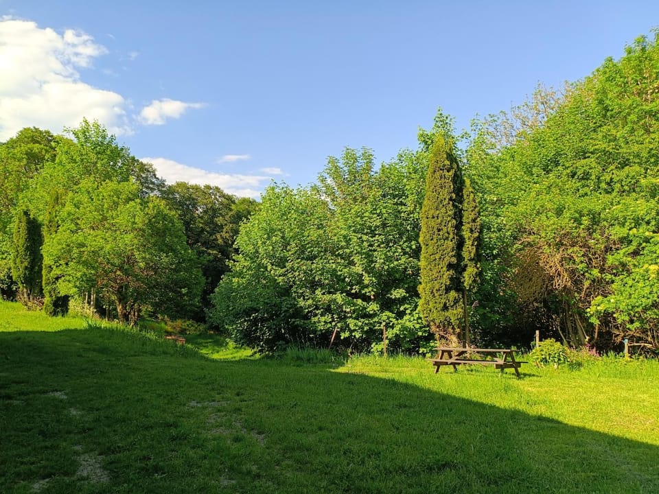 relai des jonquilles Apartment in Provence