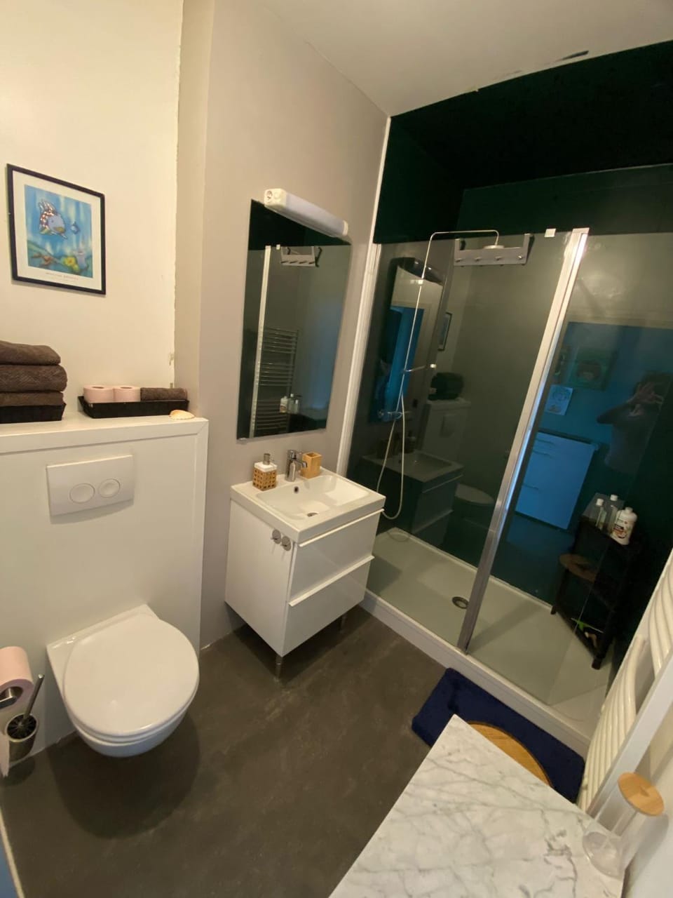 Toilet, Bathroom
