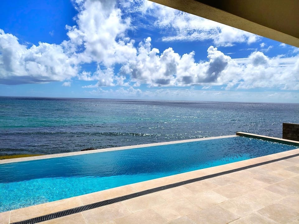 Ikhaya Ocean-front Luxury Villa with Infinity Pool Villa in Lance aux Epines