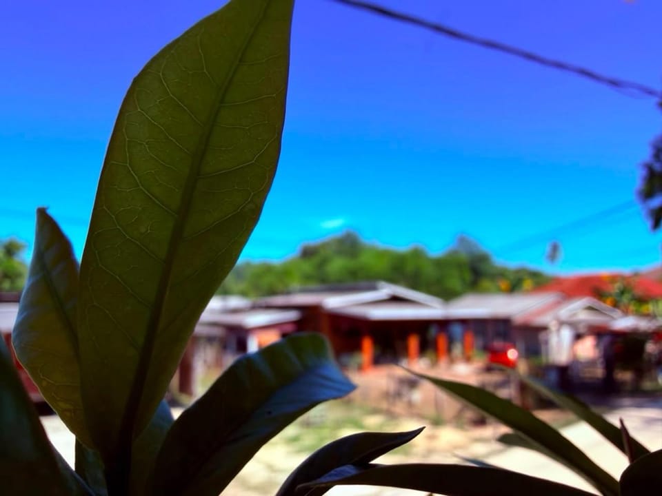 Mountain view