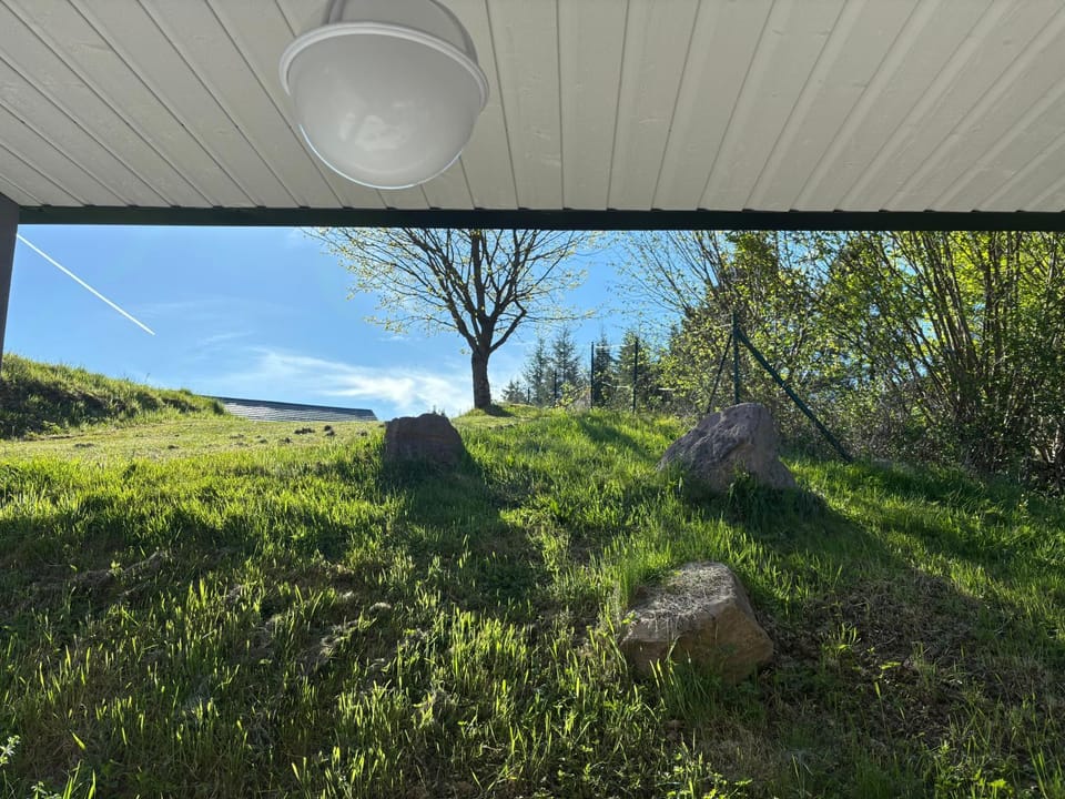 Garden view