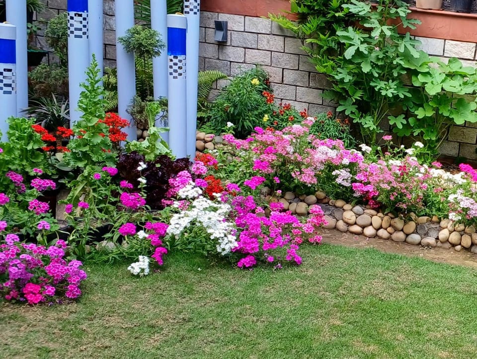 Chinar Homes Amritsar Vacation rental in Punjab, India