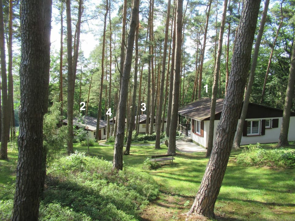Feriendorf Mengshausen 3 House in Hesse