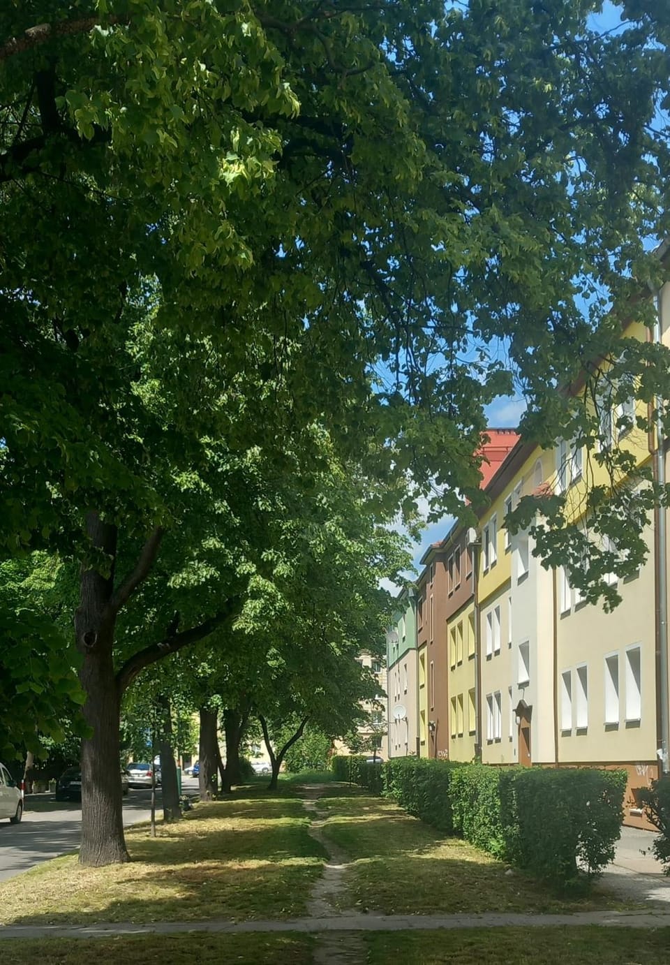 Apartament Szałwiowy Apartment in Czechia