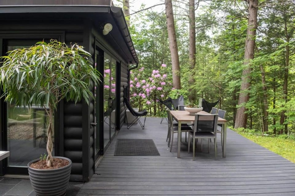 Coal Cabin - Chic MCM near Phoenicia Cabin in Shandaken