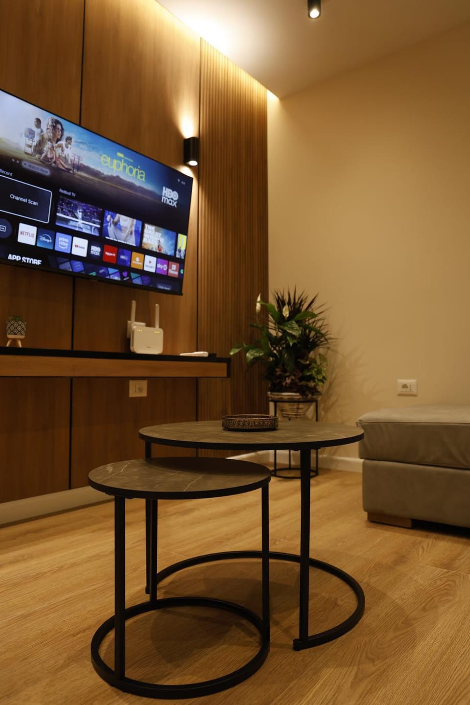 TV and multimedia