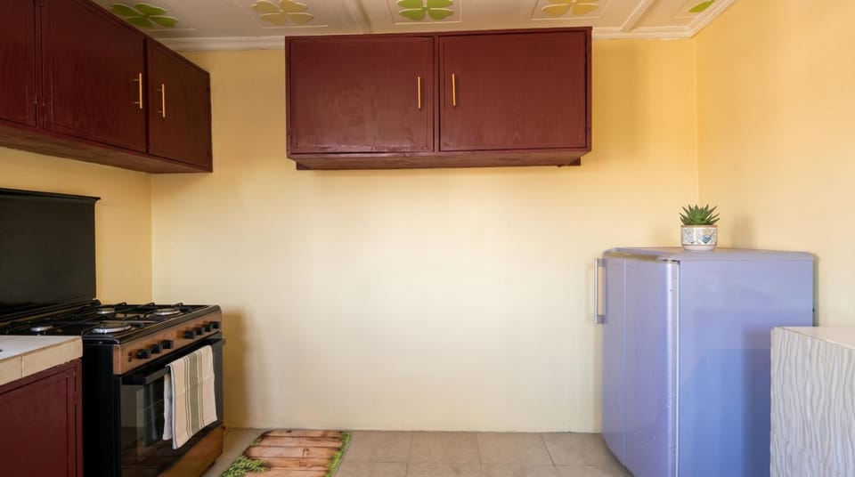 Kitchen or kitchenette, oven, stove