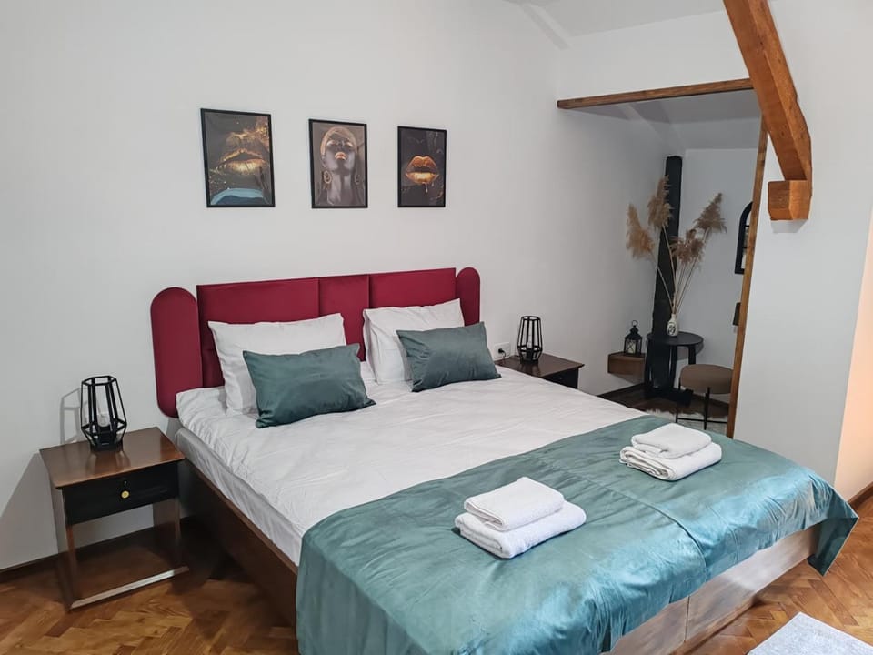 Vintage House Apart Bed and Breakfast in Romania