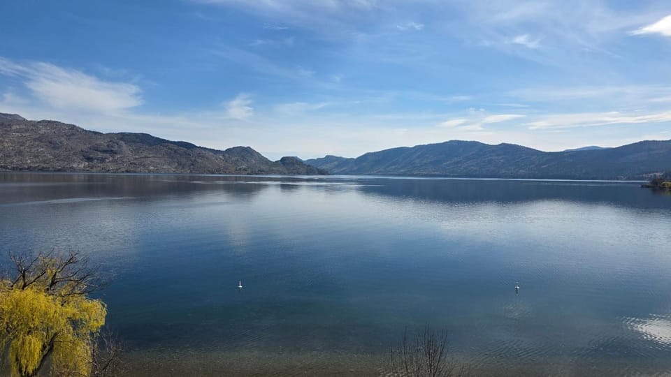 Lake view
