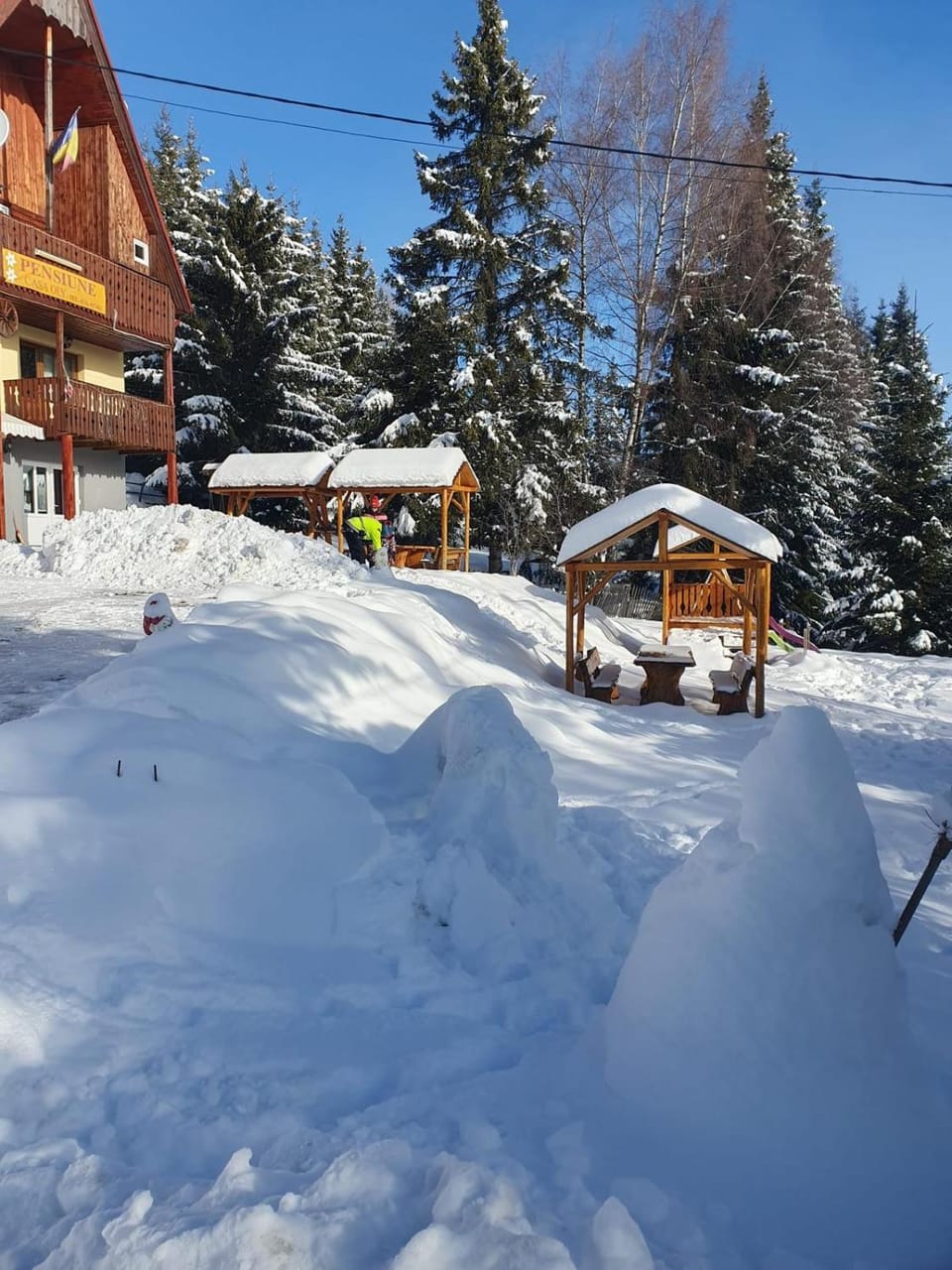 Pensiunea Casa OLLY Bed and Breakfast in Cluj County