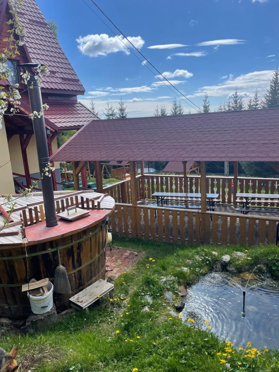 Pensiunea Casa OLLY Bed and Breakfast in Cluj County
