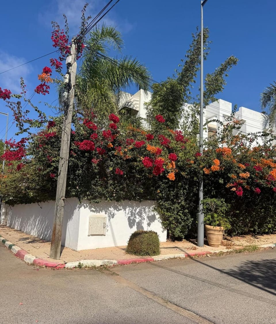 cosy villa au coeur de RABAT Villa in Rabat