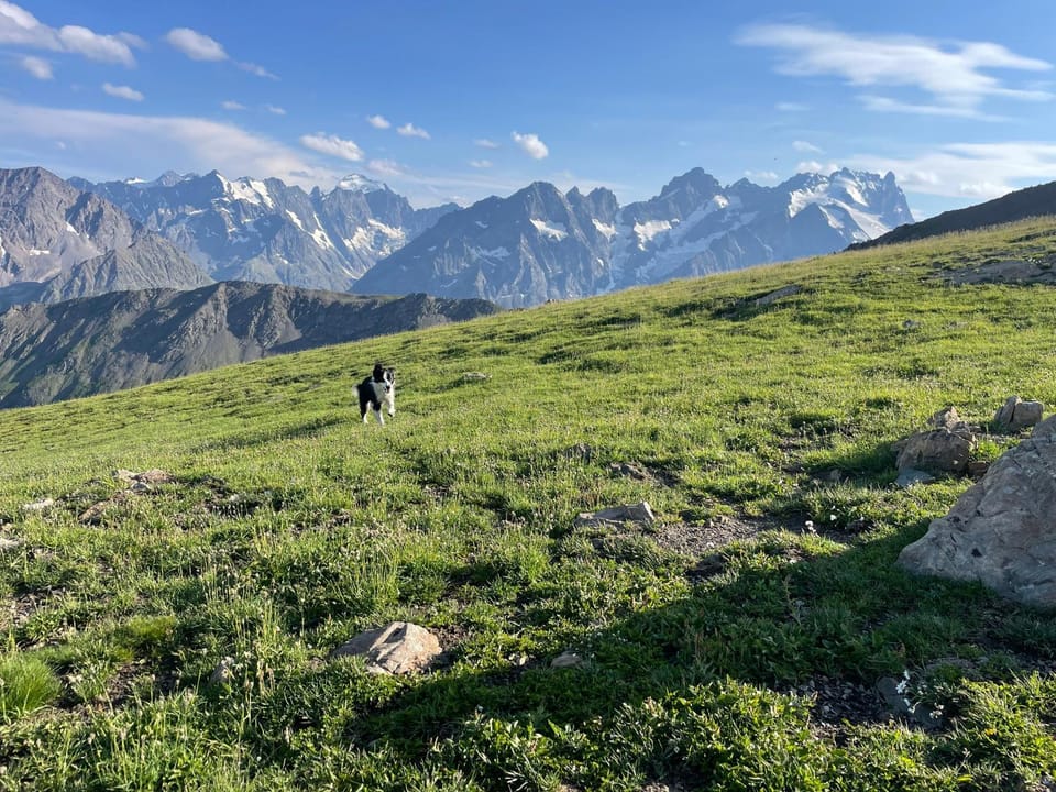 Mountain view