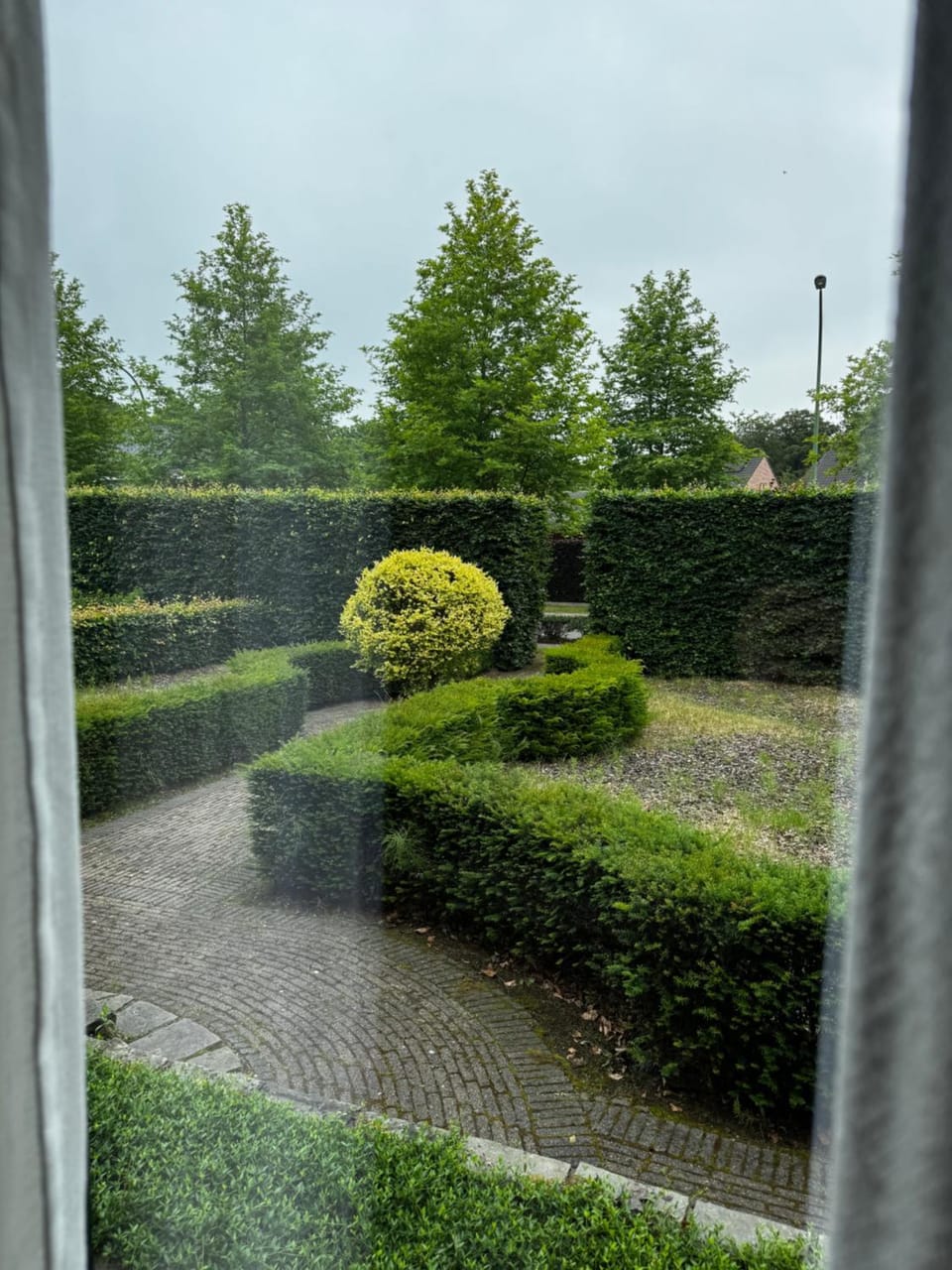 Garden view