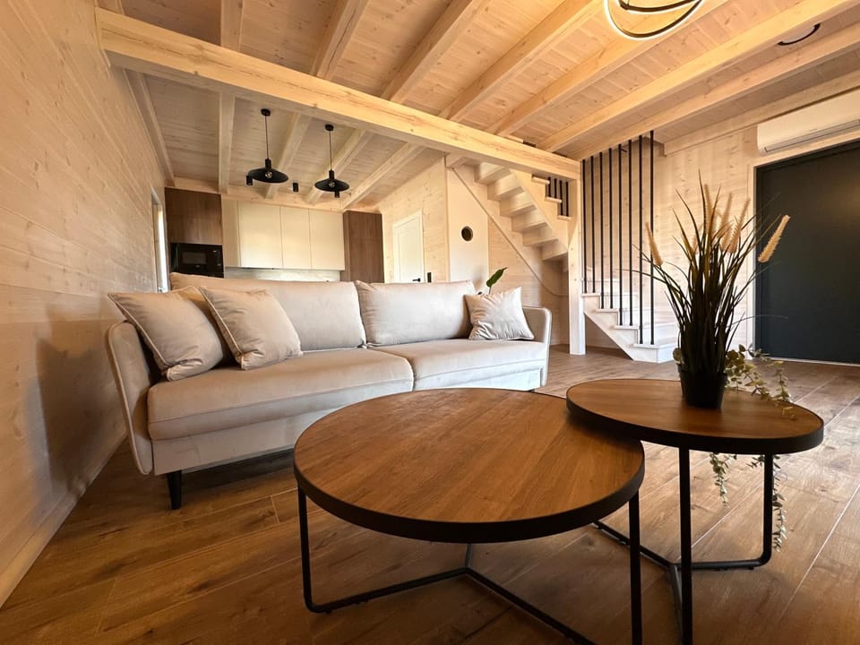 Living room, children, Family