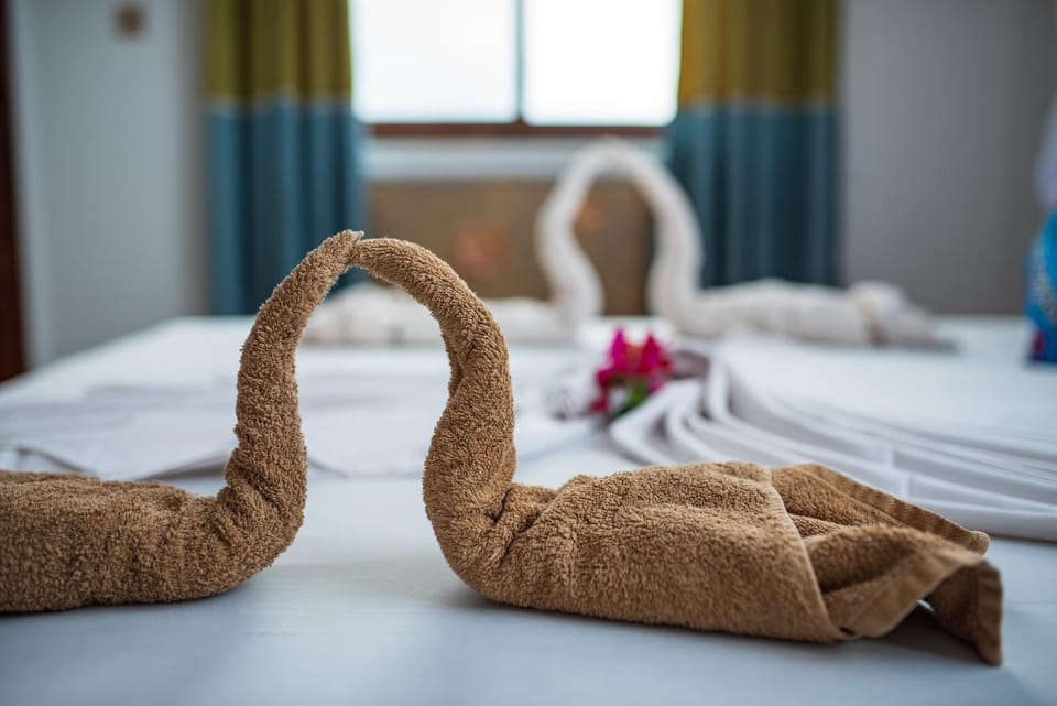 Shower, Toilet, Patio, Bathroom, Coffee/tea facilities, Balcony/Terrace, Decorative detail, Seating area, Bedroom, Area and facilities