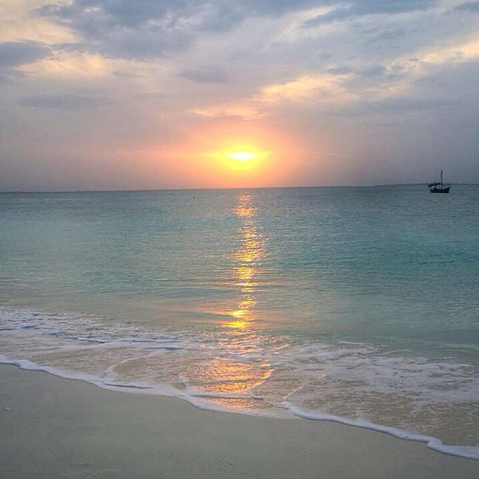 Beach, On site, Sunset