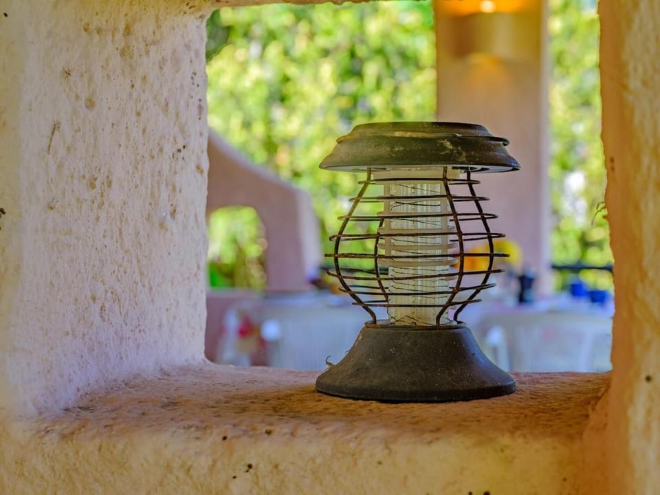 Sardinia Family Villas - Villa Ilda with direct access to the sea Villa in Sardinia