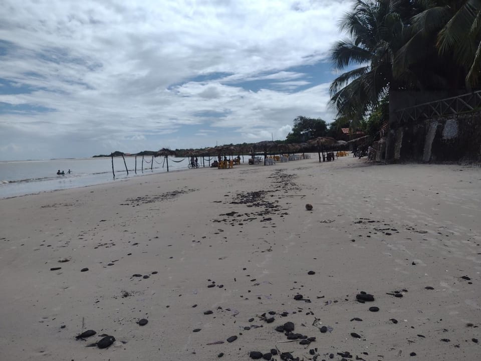 Refúgio Dos Pardais House in State of Pará