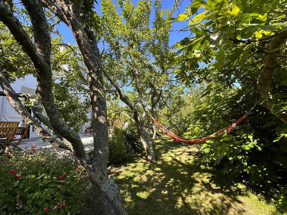 Garden, Garden view