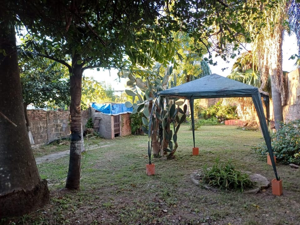 Natural landscape, Garden, Garden view