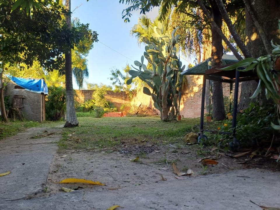 Natural landscape, Garden, Garden view