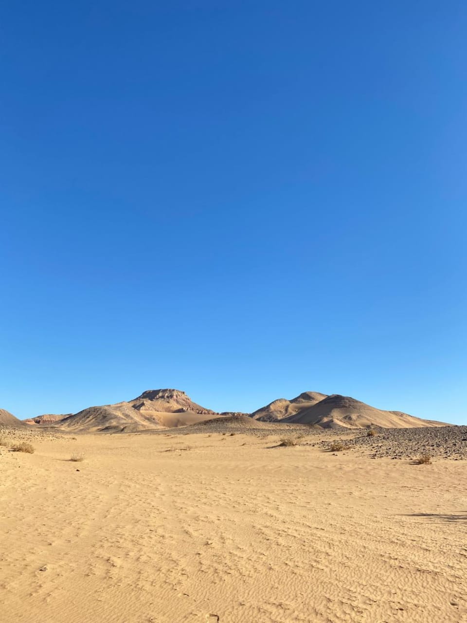 Mirage of Wadi Rum Campground/ 
RV Resort in South District