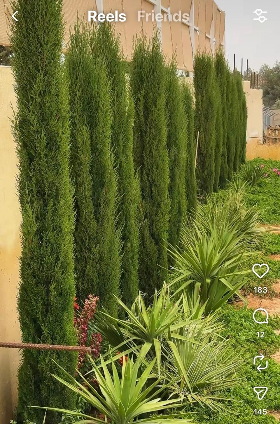 مزرعة اننتارا Villa in Africa