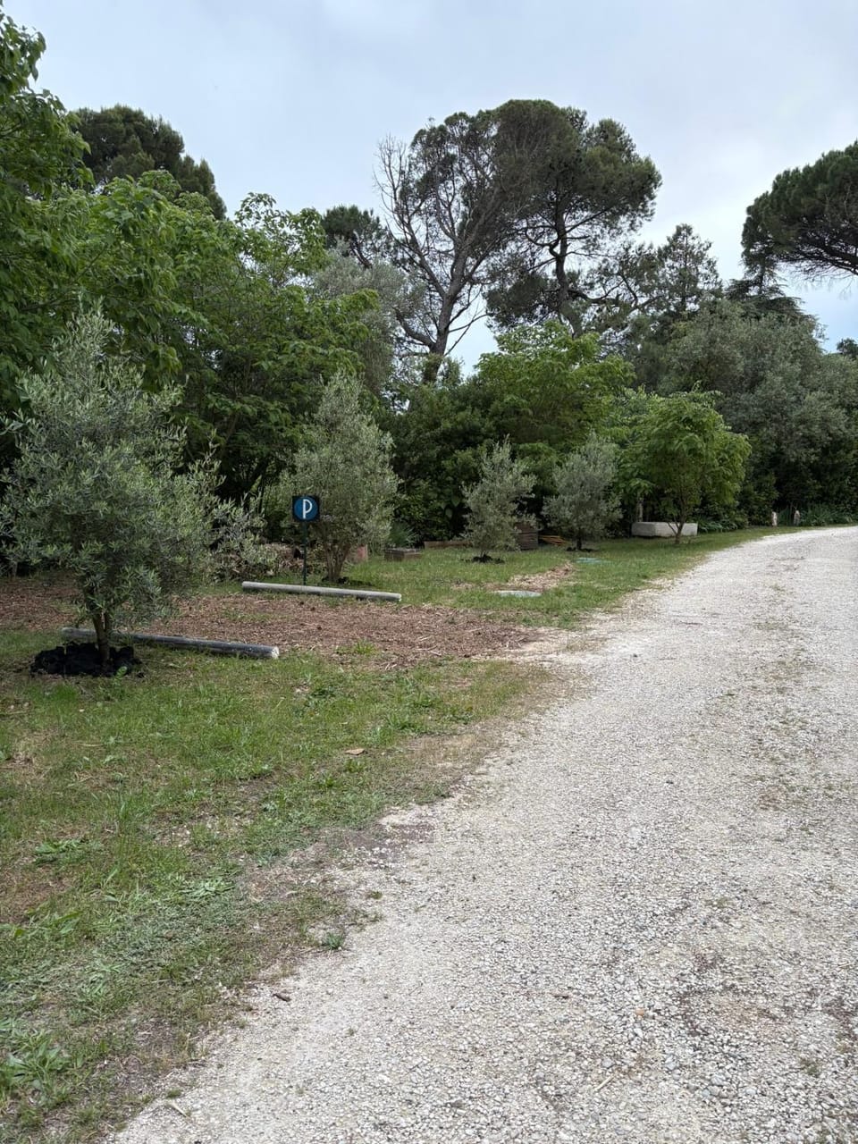 Chalet Sous les Pins Campground/ 
RV Resort in Pont-Saint-Esprit
