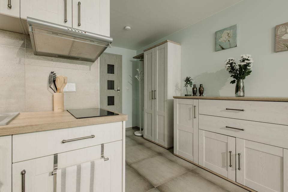 Kitchen or kitchenette, stove, wardrobe, kitchen