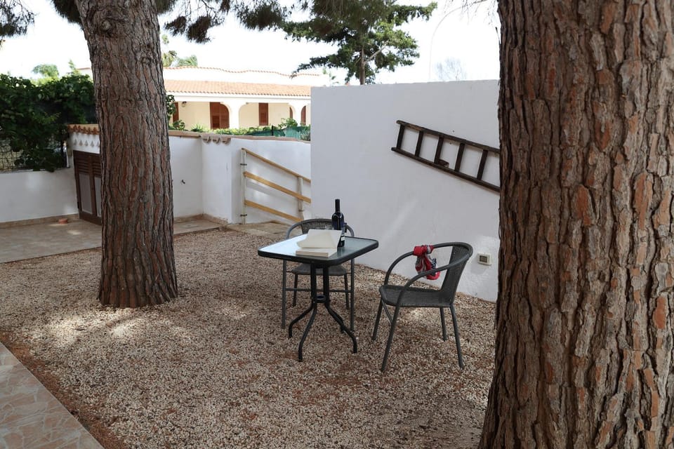 Patio, Garden
