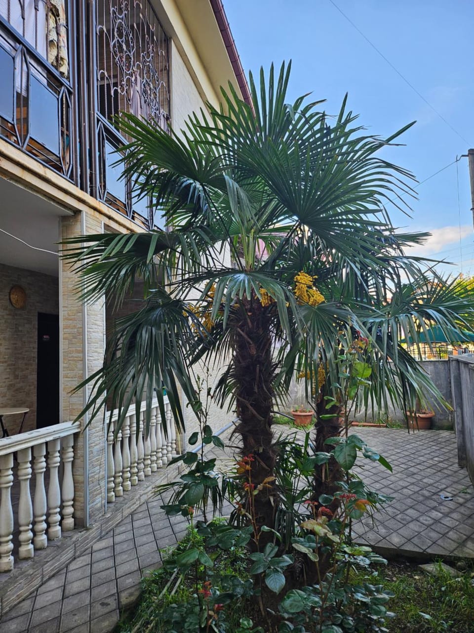 LSDkobuleti Весь 2эт дома,4комнаты,7-9человек Apartment in Adjara, Georgia