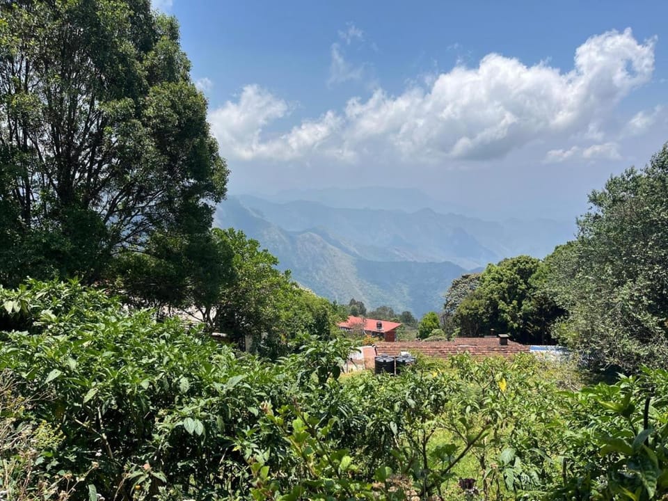 Mango Tree Villa in Kodaikanal