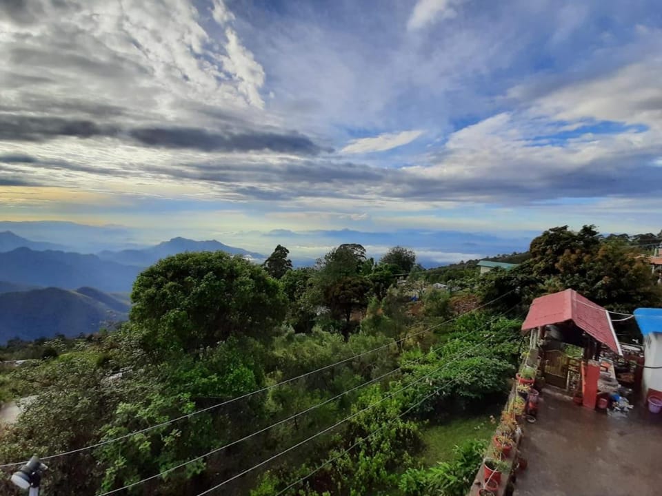 Mango Tree Villa in Kodaikanal