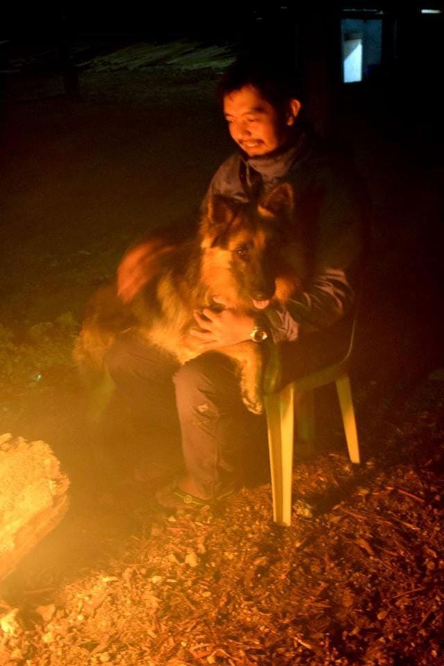 Pets