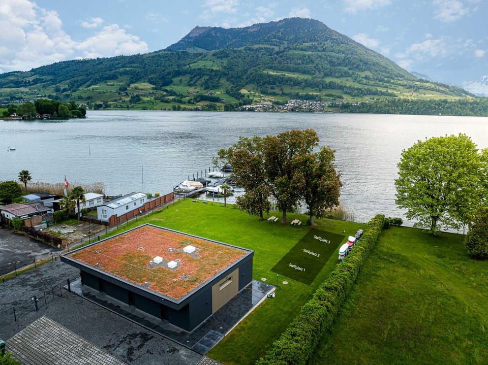 Lake view