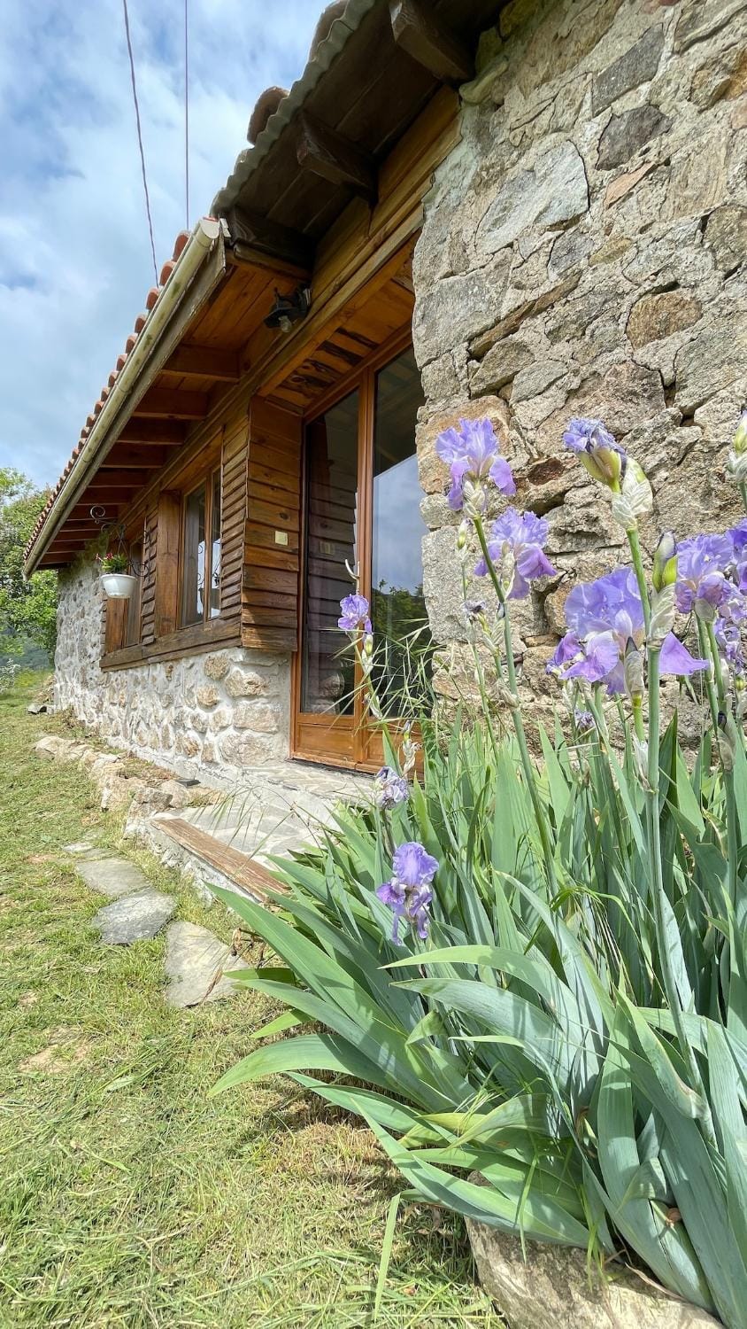 Property building, Spring, Day, Garden, Garden, Garden view