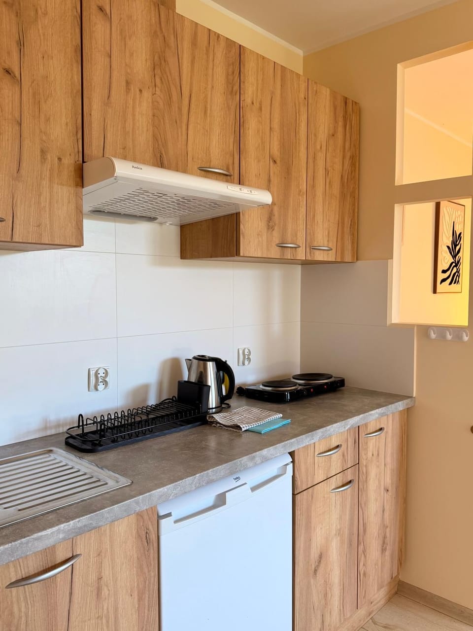 Kitchen or kitchenette, oven, kitchen