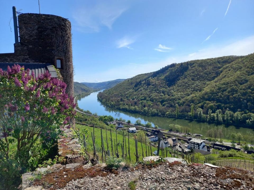 Mosel Panorama Studio auf Burg Coraidelstein Apartment in Cochem-Zell