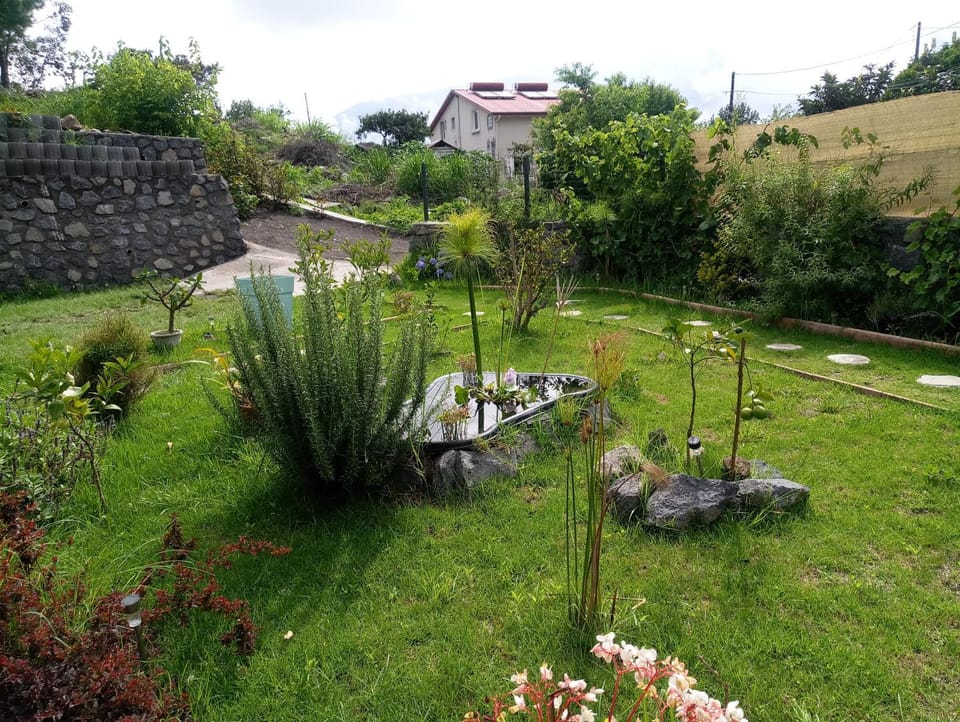 Les Jardins Créoles Apartment in Réunion