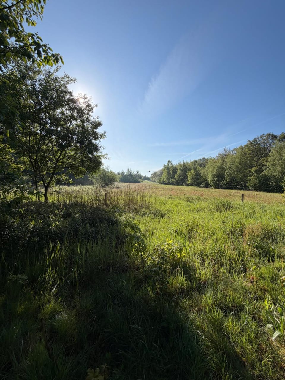 Natural landscape