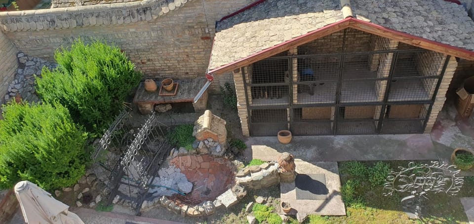 Vila Olga Apartment in Vojvodina