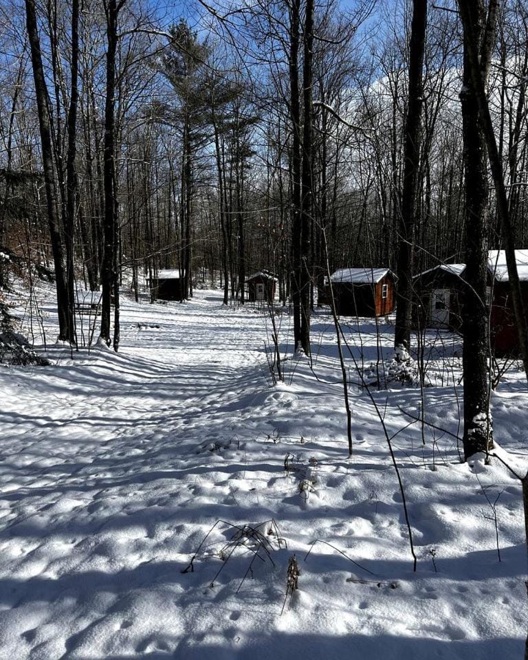 Rustic Cabin Nestled in the Trees for a Unique Outdoor Experience in White Lake, Wisconsin Cabin in Wisconsin