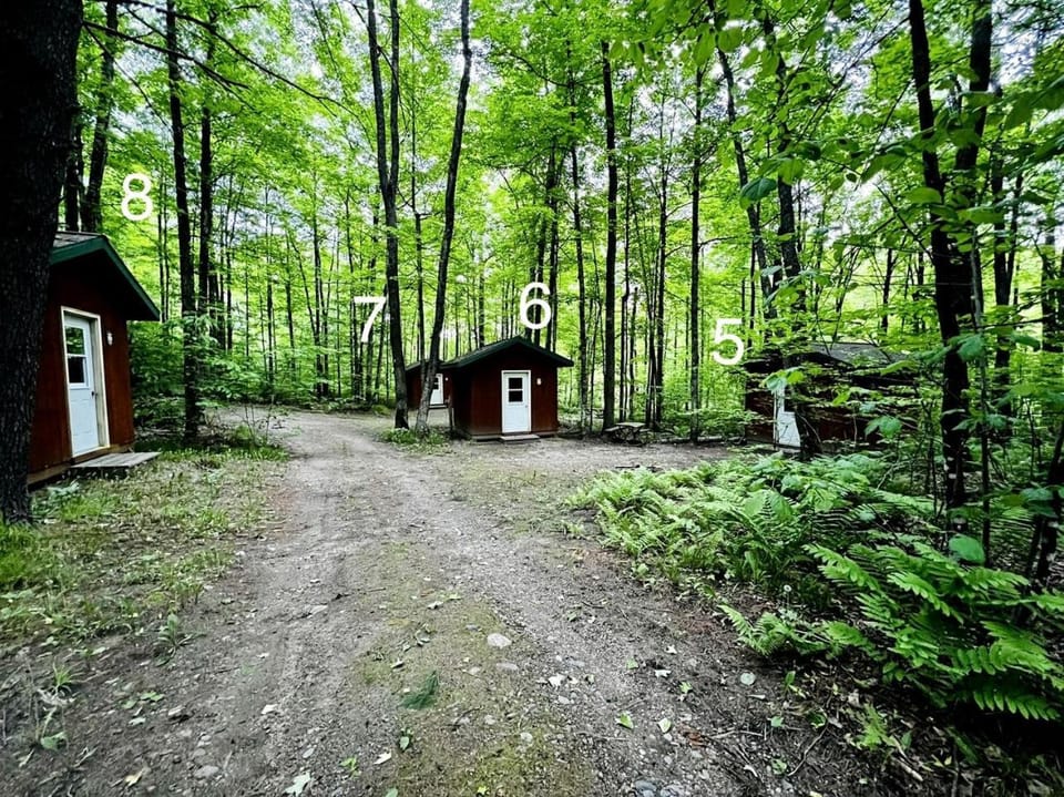 Rustic Cabin Nestled in the Trees for a Unique Outdoor Experience in White Lake, Wisconsin Cabin in Wisconsin