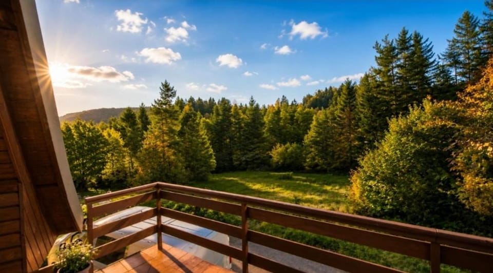 Koča Rakitna Forest Chalet with Sauna Apartment in Slovenia