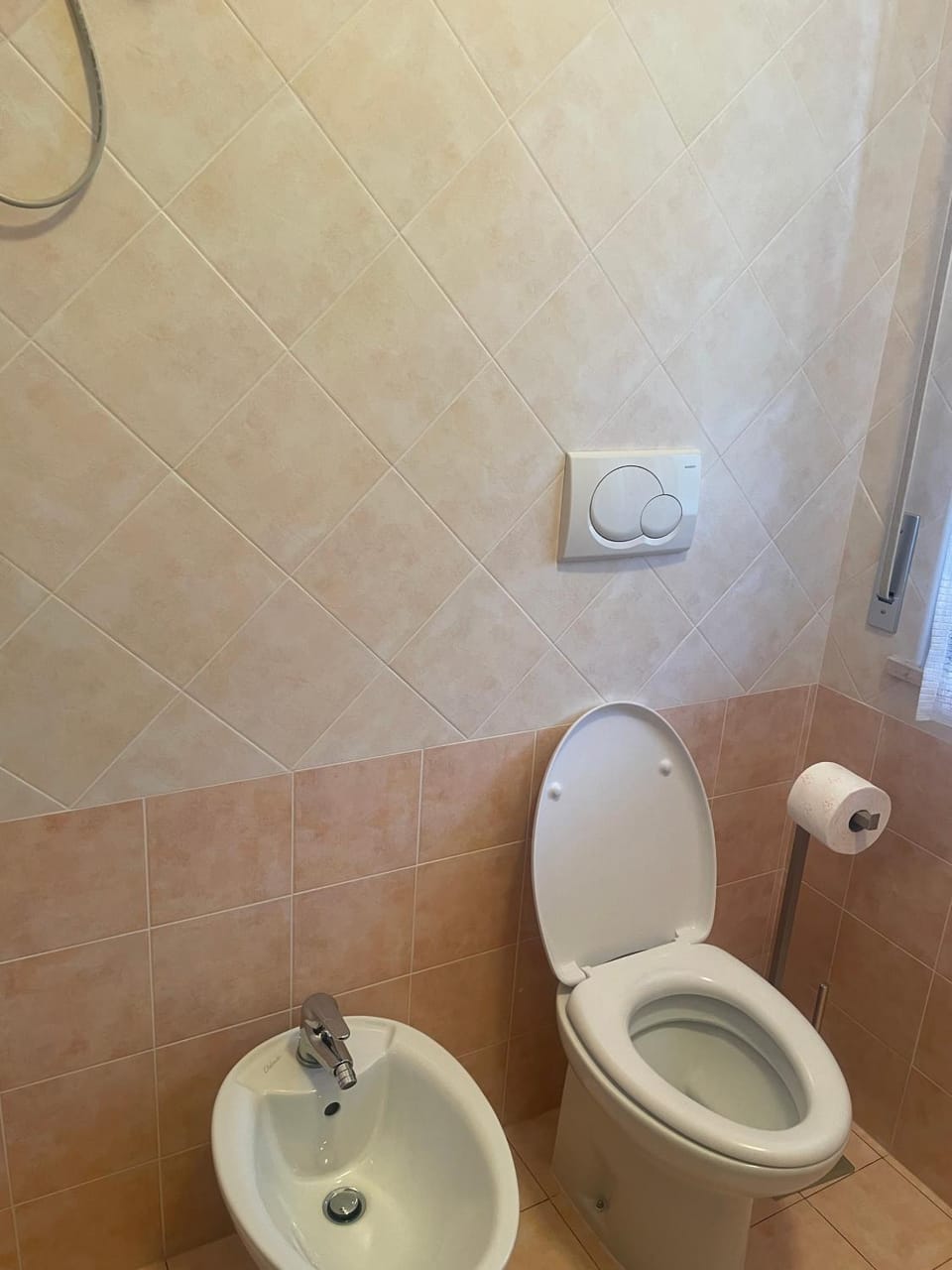 Bathroom, Living room