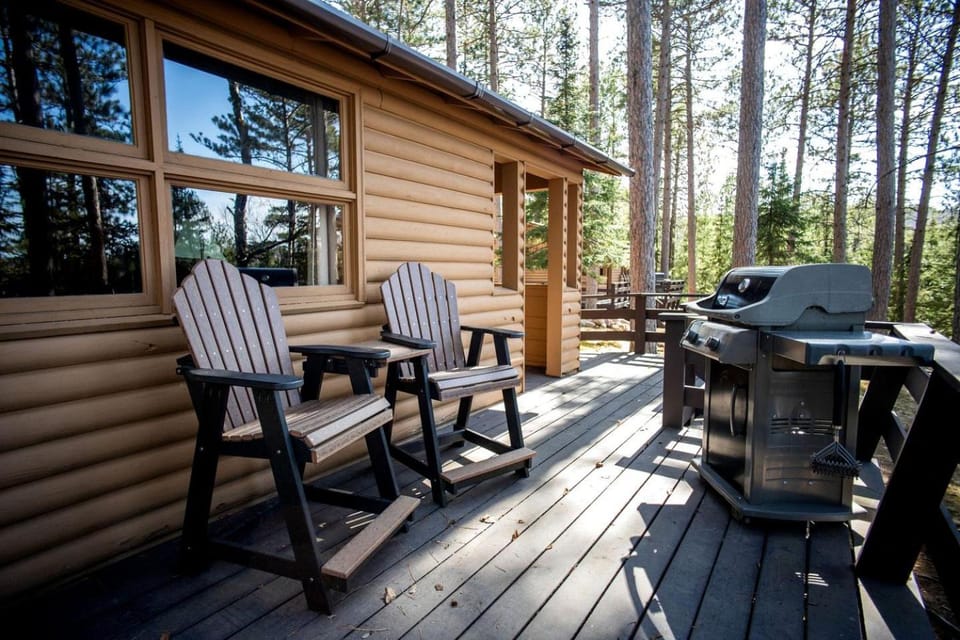 Cozy Lakefront Honeymoon Cabin with Fireplace & Marina Access Near Babbitt, Minnesota Cabin in Minnesota